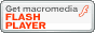Flash Player Download