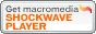 Shockwave Player Download